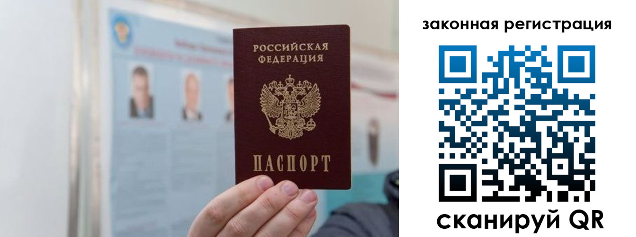 прописка законно в Купино