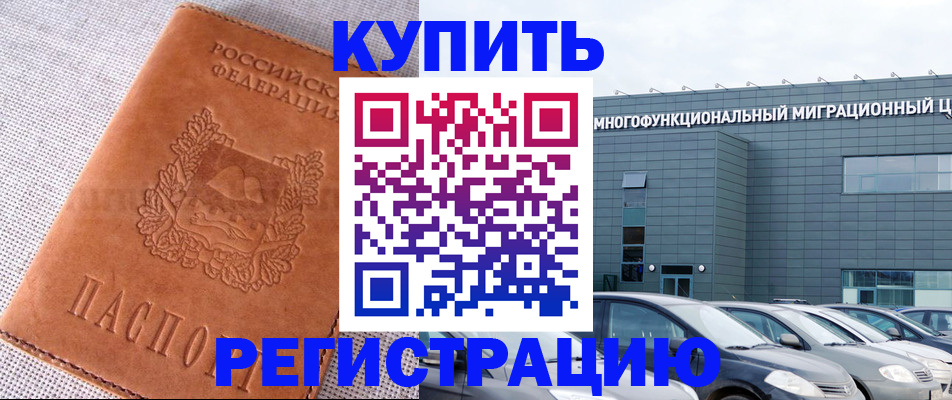 прописка законно в Купино